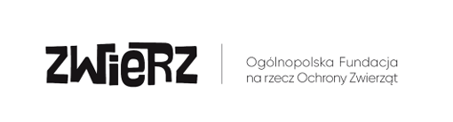 Zbliża się kolejna fala upałów, uwaga na zwierzęta! 