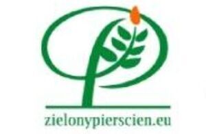 Dofinansowanie na projektu partnerskie dla organizacji pozarządowych