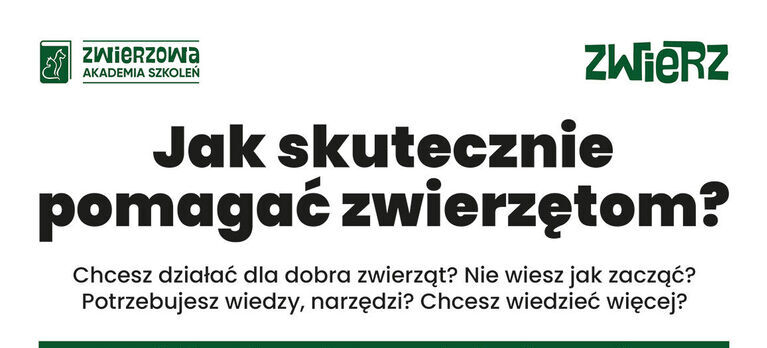 Plakat promujący szkolenia on-line dotyczące pomocy zwierzętom. Zawiera harmonogram spotkań i zdjęcia trzech psów. Na dole znajduje się adres e-mail do kontaktu i link do strony fundacji ZWIERZ.