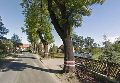 Ulica z drzewami