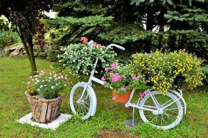 rower na ogrodzie przyozdobiony kwiatami i roślinami