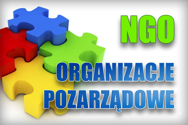 Konsultacje programu współpracy z organizacjami pozarządowymi