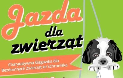 Schronisko dla Bezdomnych zaprasza na charytatywną ślizgawkę dla zwierząt