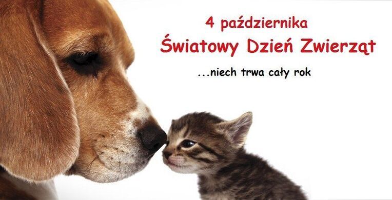 ŚWIATOWY DZIEŃ ZWIERZĄT