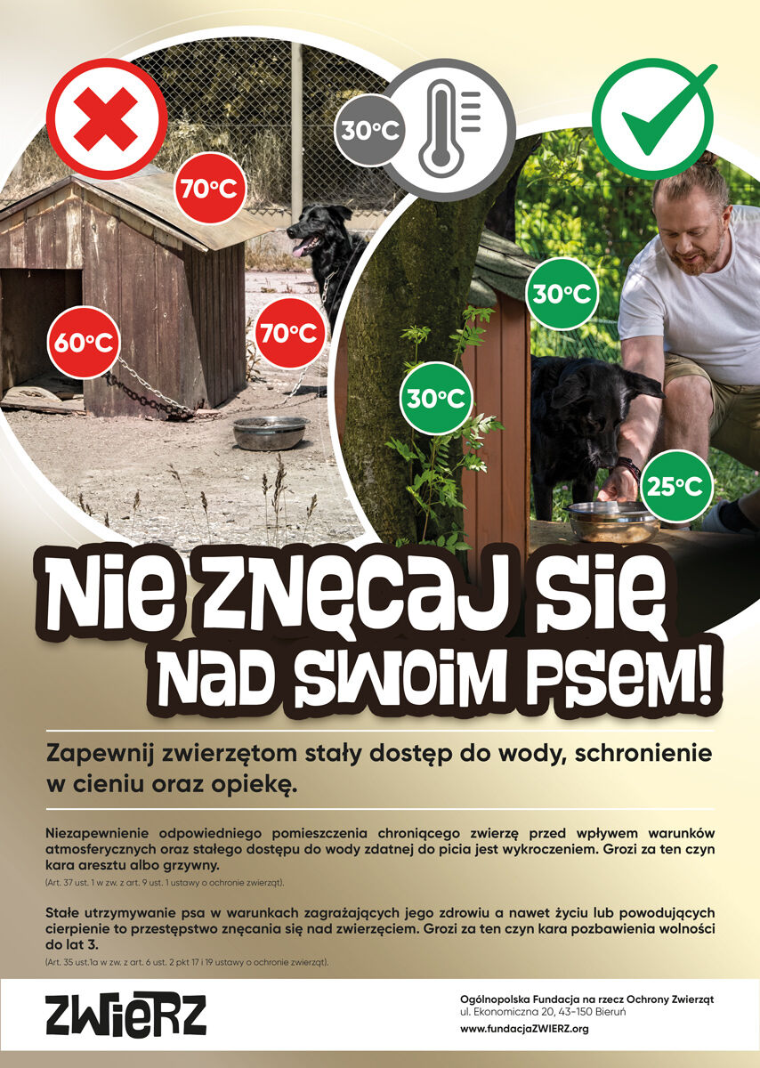 Plakat z ostrzeżeniem przed zostawianiem psa w gorącym samochodzie. Grafiki ilustrują termometr i psy w różnych sytuacjach pogodowych, a mężczyzna ratuje psa z samochodu.