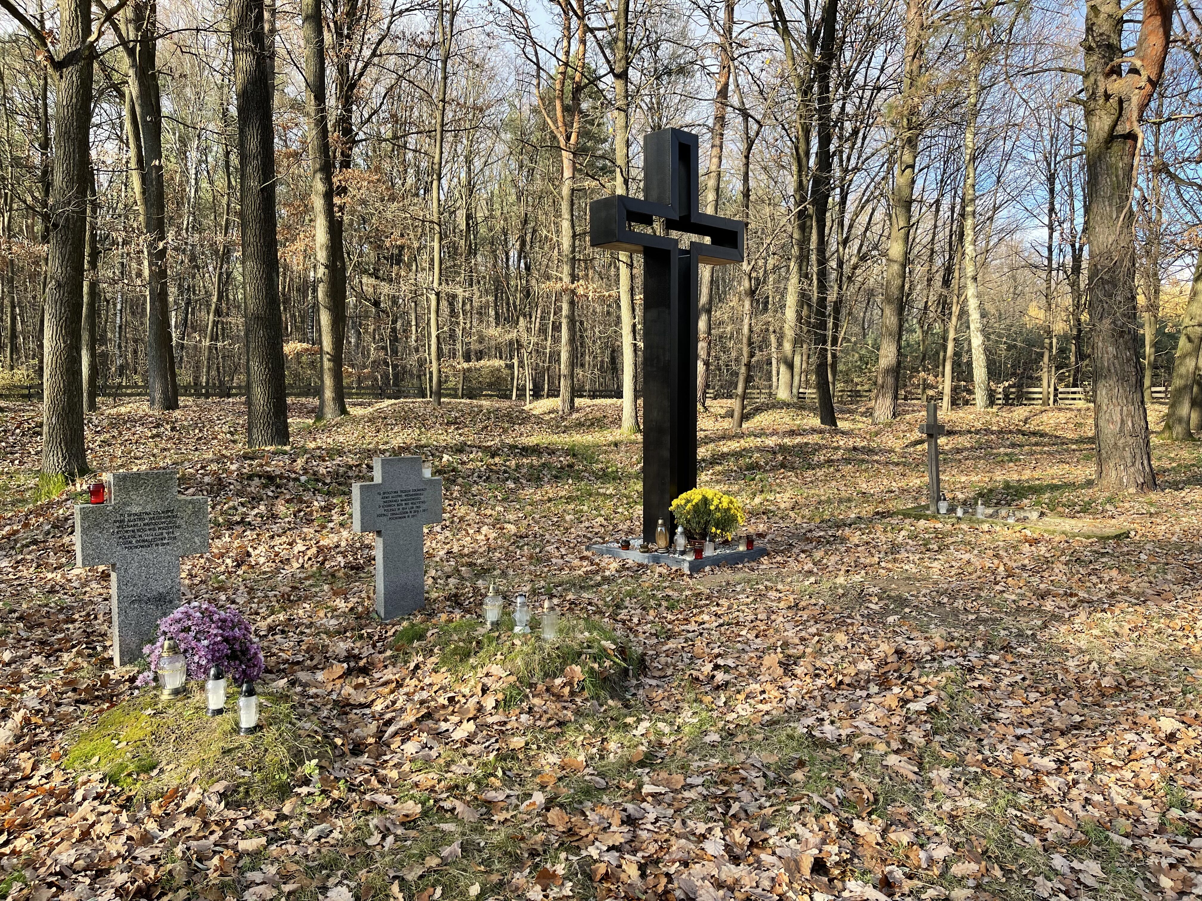 Zdjęcie przedstawia krzyż metalowy oraz dwa małe krzyże wykonane z kamienia zlokalizowane w lesie na cmentarzu z I Wojny Światowej w Wierzchowiskach.