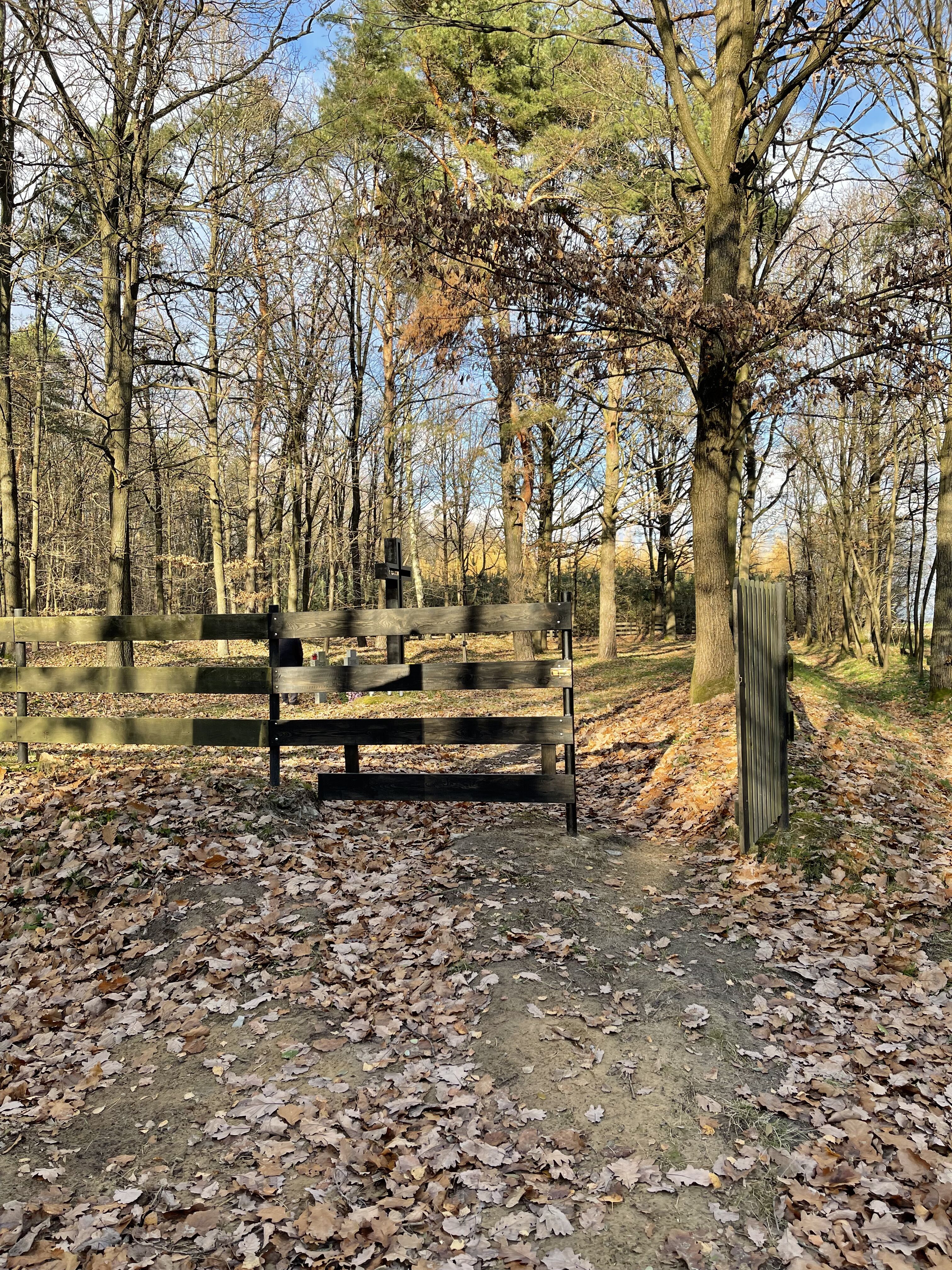 Zdjęcie przedstawia wejście, furtkę na cmentarz z okresu I Wojny Światowej w Wierzchowiskach. Przęsła ogrodzenia wykonane z drewna, w tle widnieją drzewa.