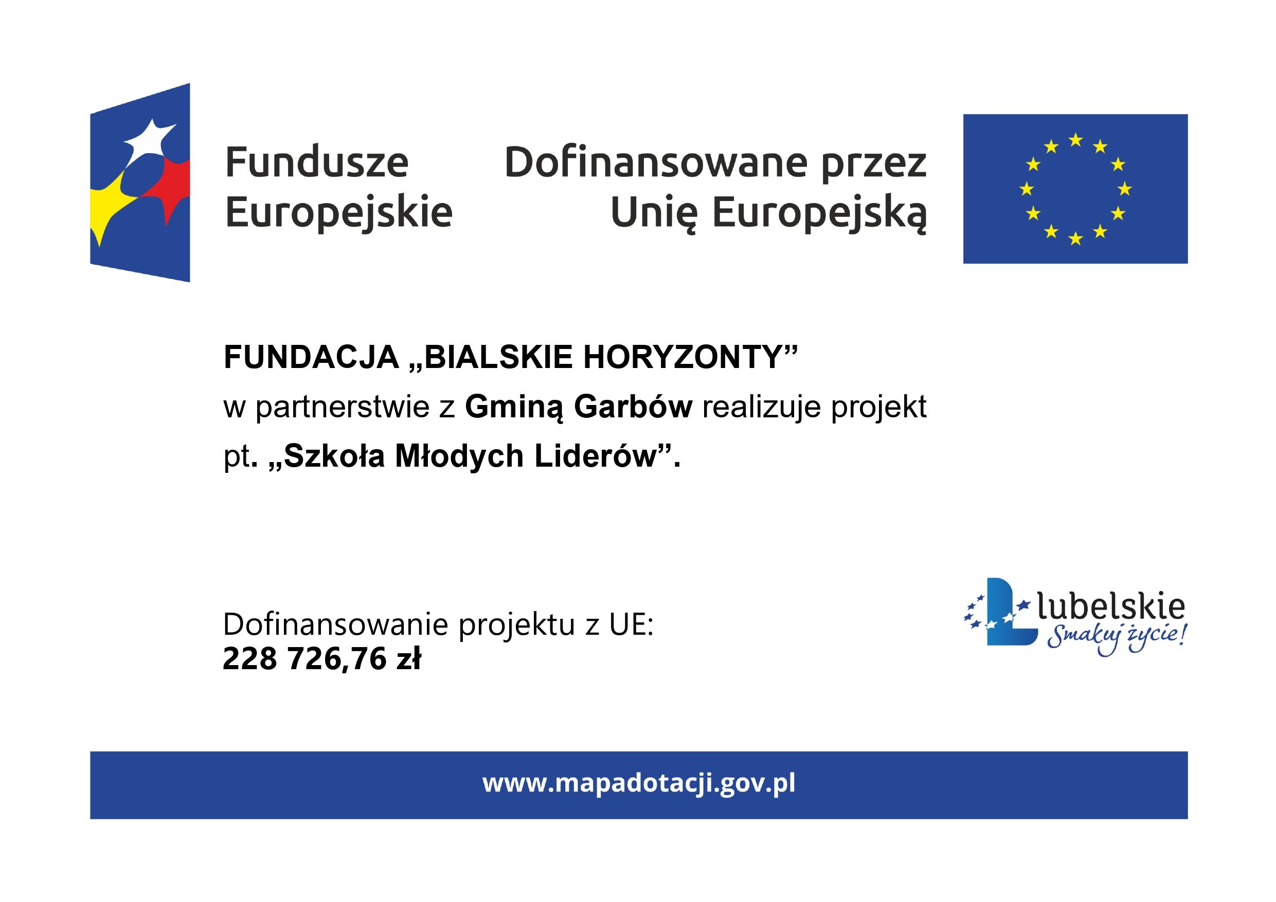 Plakat informacyjny Szkoła Młodych Liderów