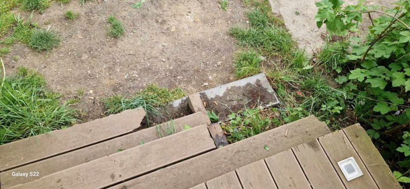 Drewniany kąt tarasu z widokiem na trawnik z rozproszonymi chwastami i ziemią; fragment betonowego bloku i zieleń roślin są widoczne.