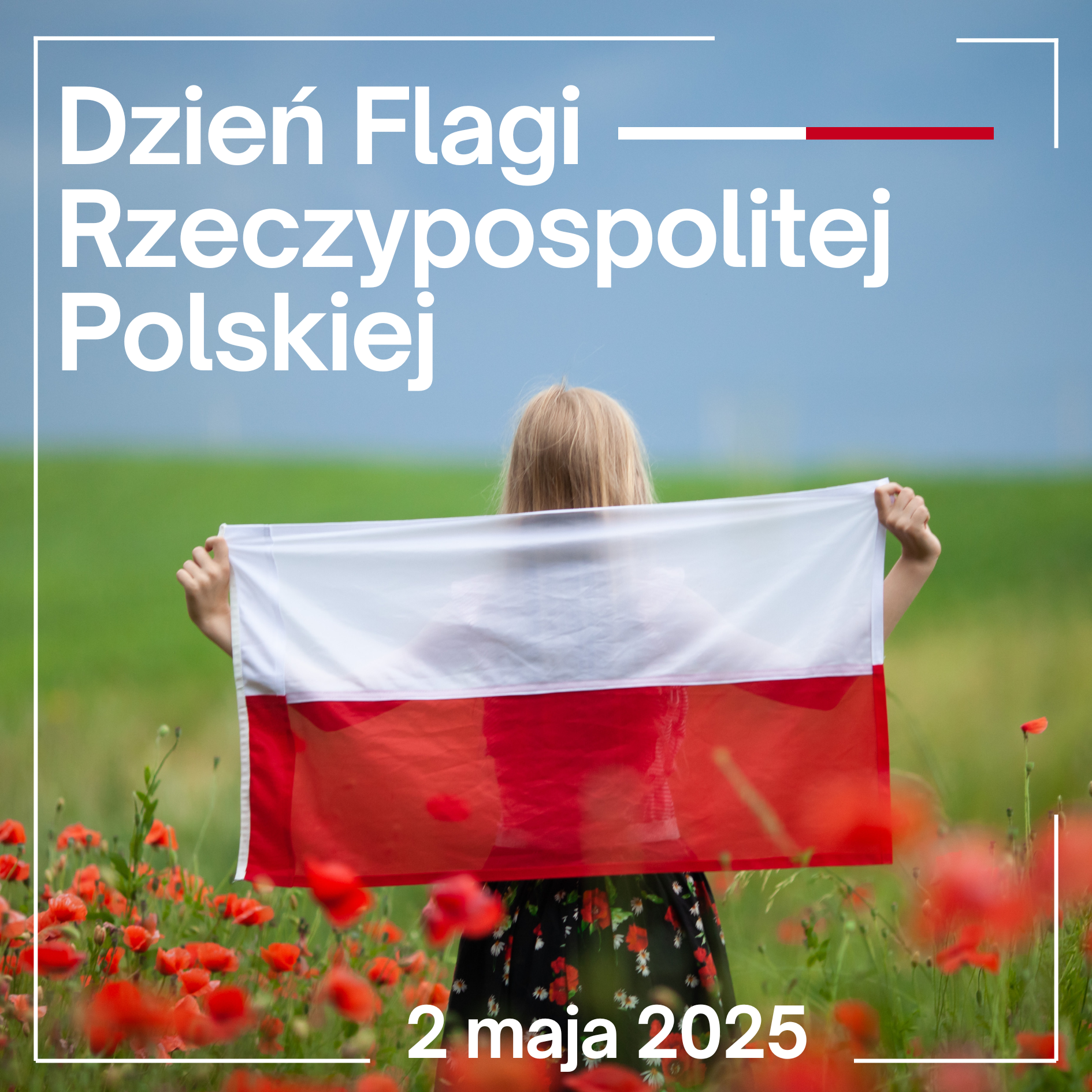 Osoba stoi tyłem na polu maków, trzymając przed sobą polską flagę. Na zdjęciu znajduje się napis: "Dzień Flagi Rzeczypospolitej Polskiej, 2 maja 2025". W tle widoczne jest niebo.