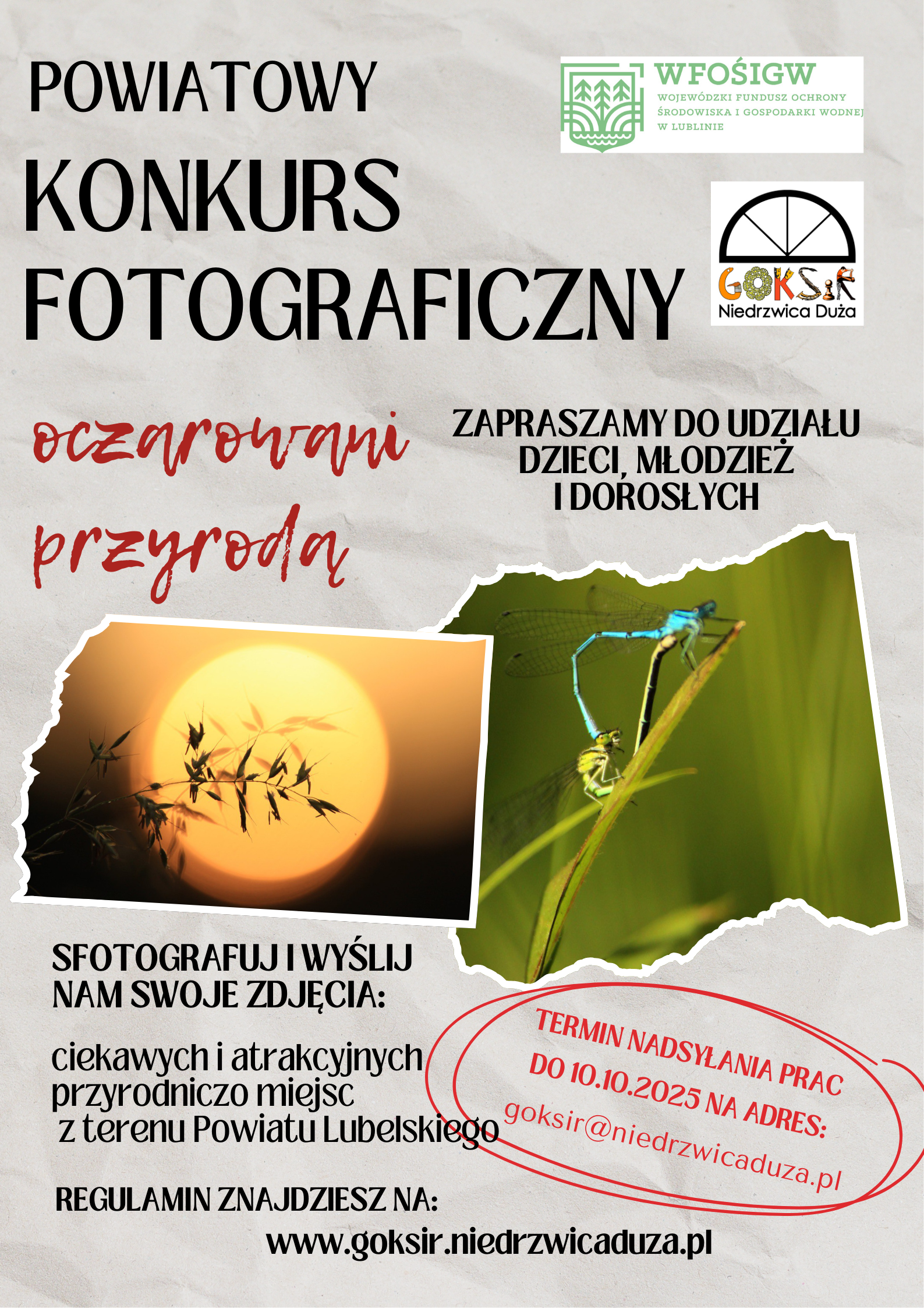 szary plakat z napisem powiatowy konkurs fotograficzny, opisem konkursu i zdjęciem słońca i owadów
