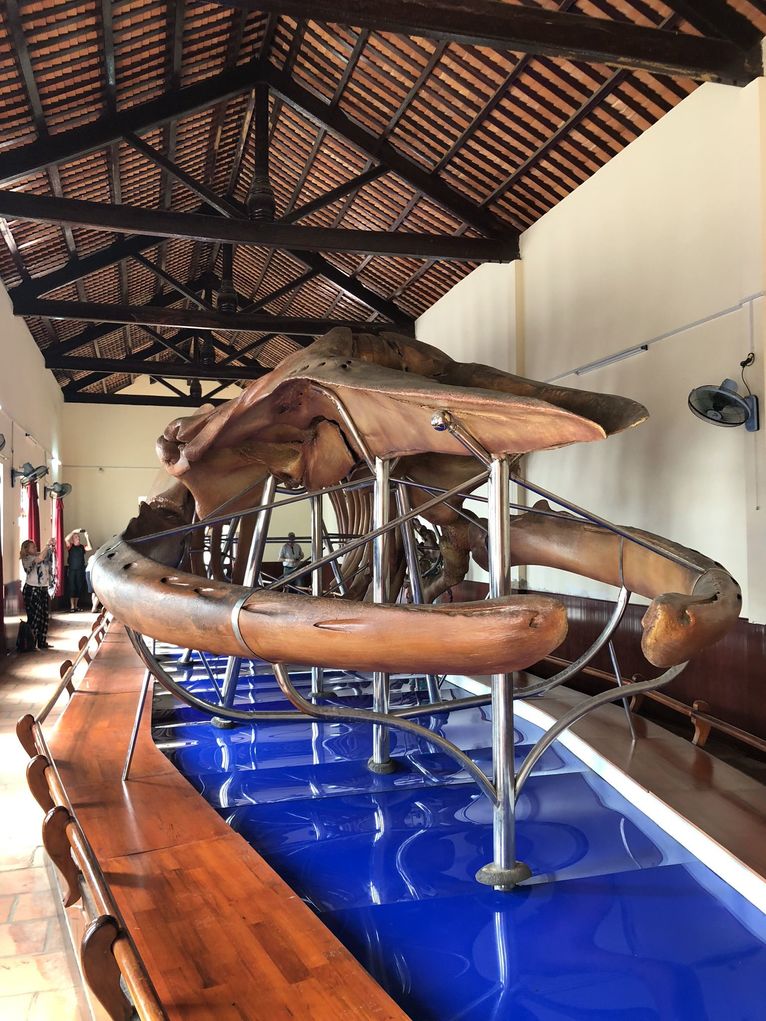 Van Thuy Tu - to w tej świątyni jest największy szkielet wieloryba w Azji Południowo - Wschodniej