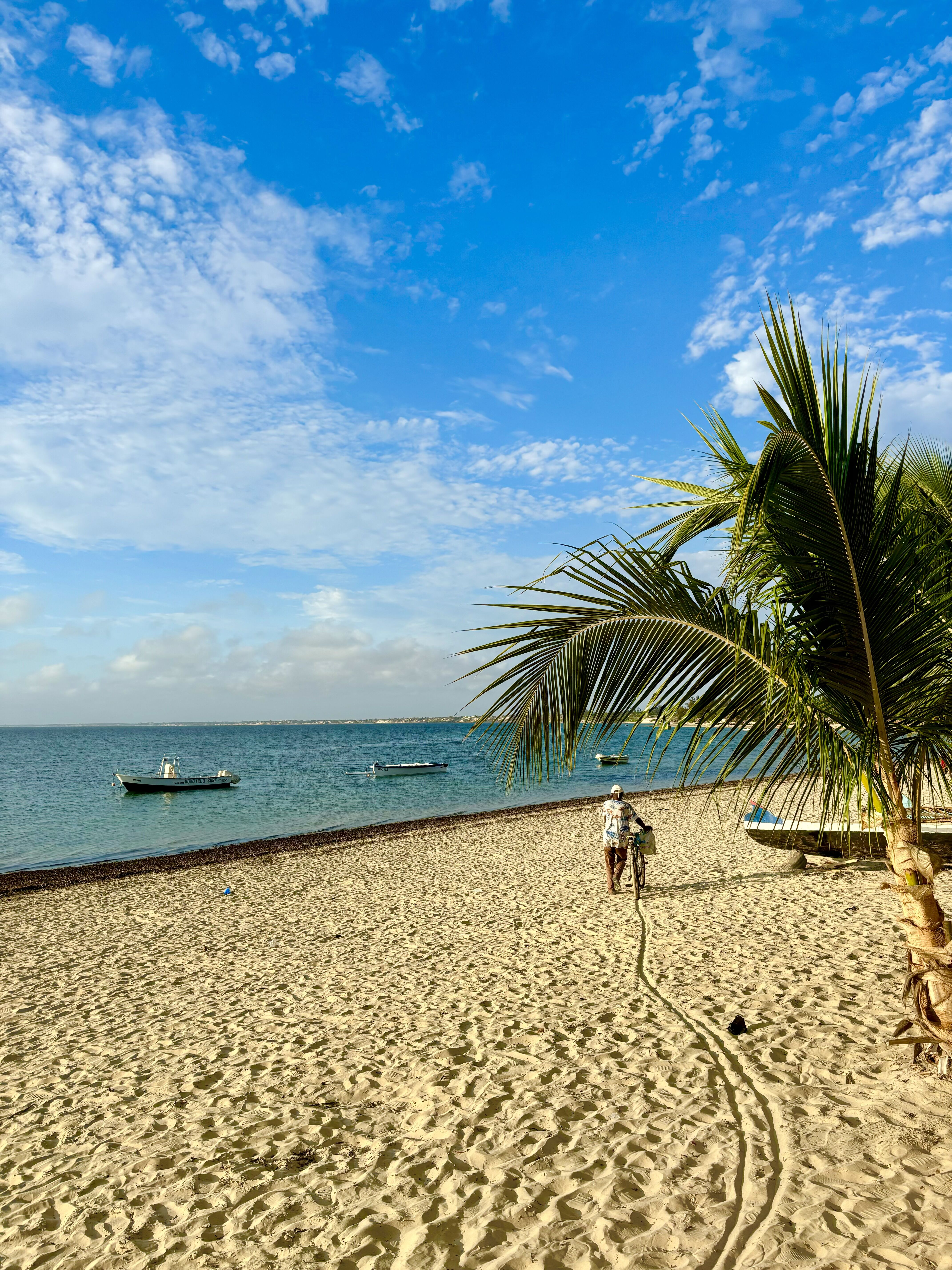 Plaża w Ifaty.