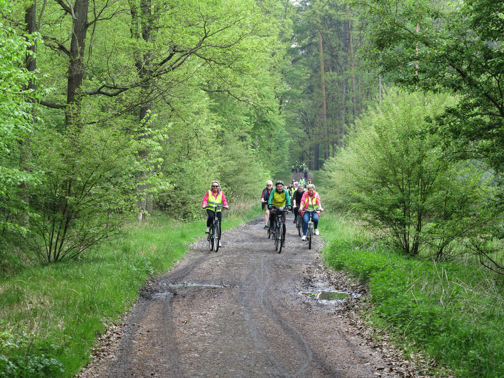 Grupa ludzi w kaskach i sportowym stroju jedzie na rowerach leśną drogą wśród zielonych drzew.