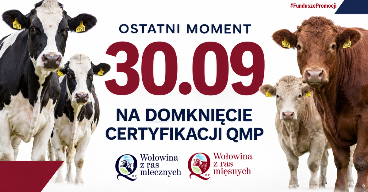 OSTATNI MOMENT 30.09 NA DOMKNIĘCIE CERTYFIKACJI QMP