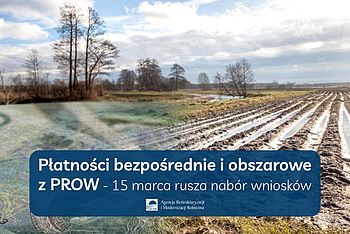 Płatności bezpośrednie i obszarowe z PROW - 15 marca rusza nabór wniosków |ARiMR