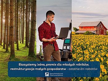 Ekosystemy leśne, premie dla młodych rolników, restrukturyzacja małych gospodarstw - ostatnie dni naborów