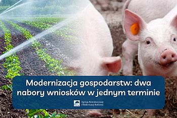 Modernizacja gospodarstw: dwa nabory w jednym terminie | ARiMR