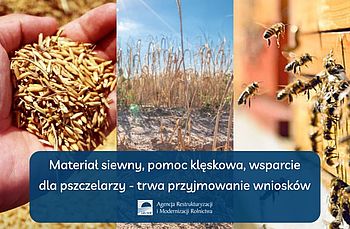 Materiał siewny, pomoc klęskowa, wsparcie dla pszczelarzy - trwa przyjmowanie wniosków