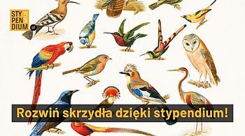 Moje stypendium banner