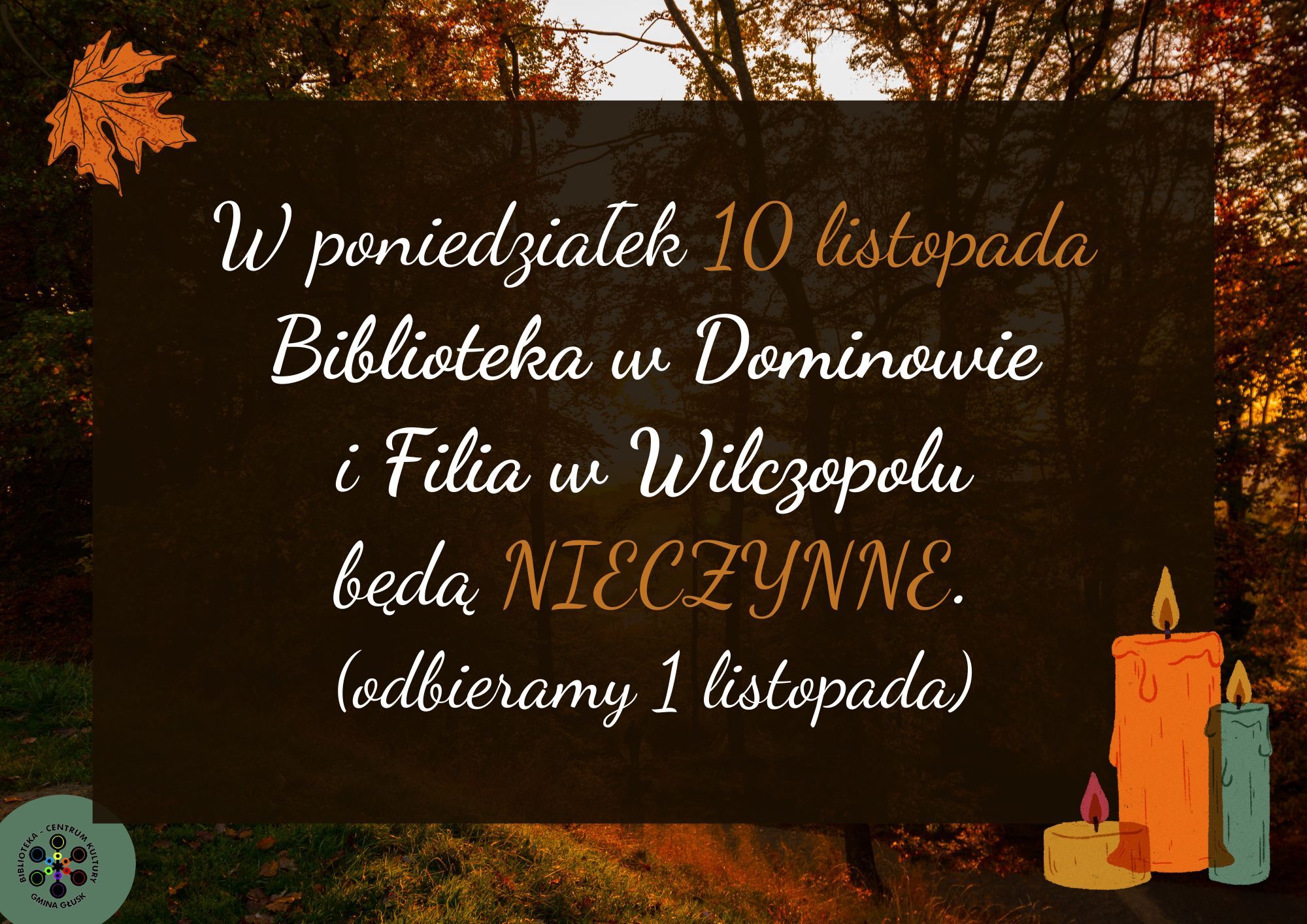 Informacja o zamknięciu bibliotek 10 listopada.