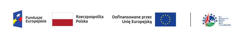 Zdjęcie przedstawia sześć rozłożonych obok siebie logo. Pierwsze to logo "Fundusze Europejskie", drugie to flaga Polski z napisem "Rzeczpospolita Polska", trzecie to napis "Dofinansowano przez Unię Europejską" z flagą UE, czwarte to flaga UE, piąte to puste, a szóste logo z napisem "Współfinansowanie z UE" i informacjami o nazwach programów.