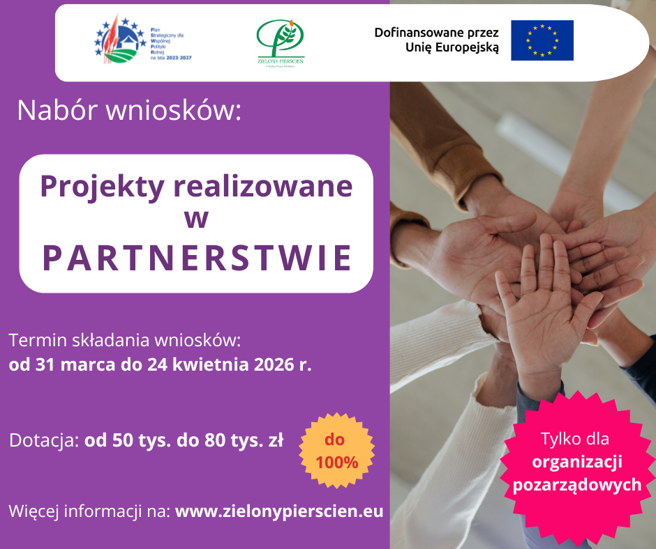 Grafika informacyjna o naborze wniosk&oacute;w na projekty w partnerstwie. Zawiera daty składania wniosk&oacute;w, kwoty dotacji, oraz akcentuje finansowanie dla organizacji pozarządowych. W tle złączone dłonie symbolizujące wsp&oacute;łpracę.