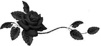 czrna rózą