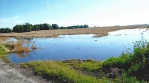 Kajakiem przez pole. Potężne straty rolników