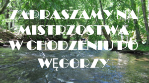 Ważna informacja dla uczestników „ Mistrzostw w chodzeniu po Drawie”