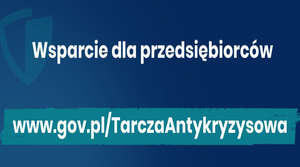 Tarcza antykryzysowa