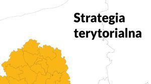 Strategia terytorialna Partnerstwa Strefy Centralnej