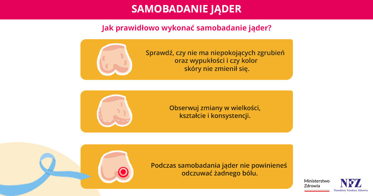 Grafika edukacyjna na temat samobadania jąder z instrukcjami i ilustracjami pokazującymi metody badania.