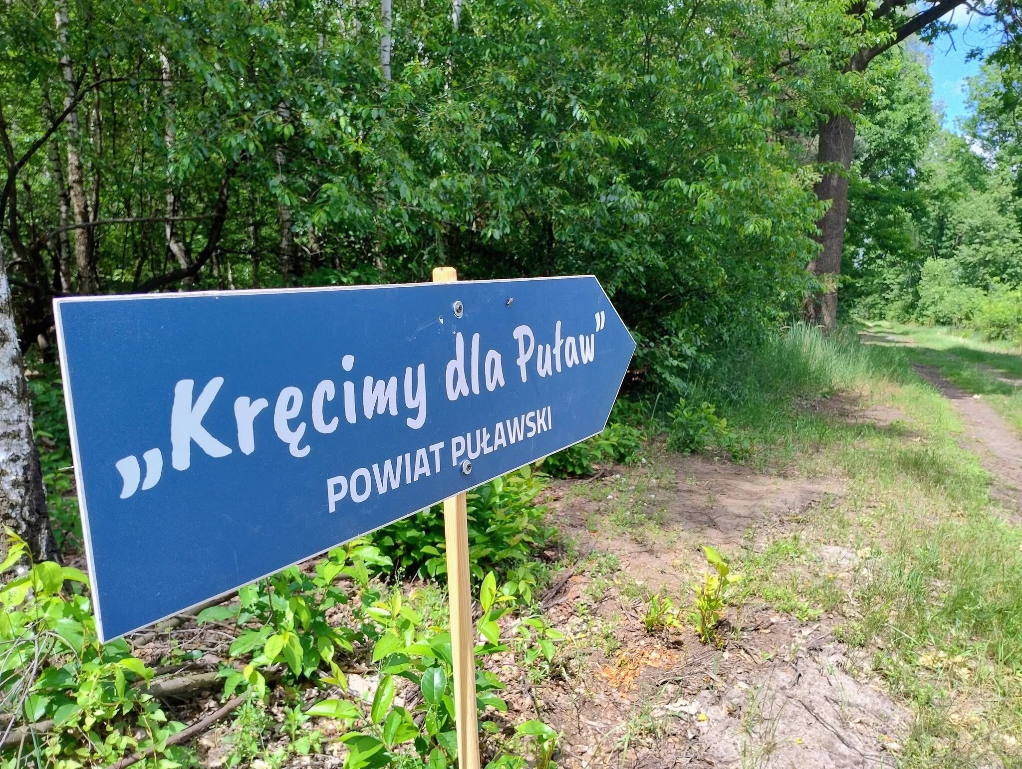Wskaźnik
