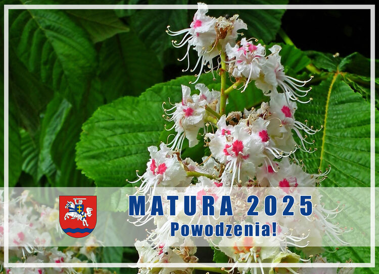 Kwitnący kasztanowiec, Matura 2025, herb powiatu