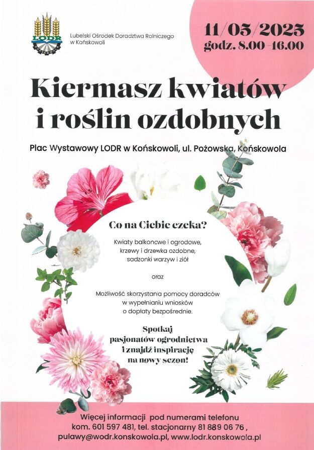 plakat