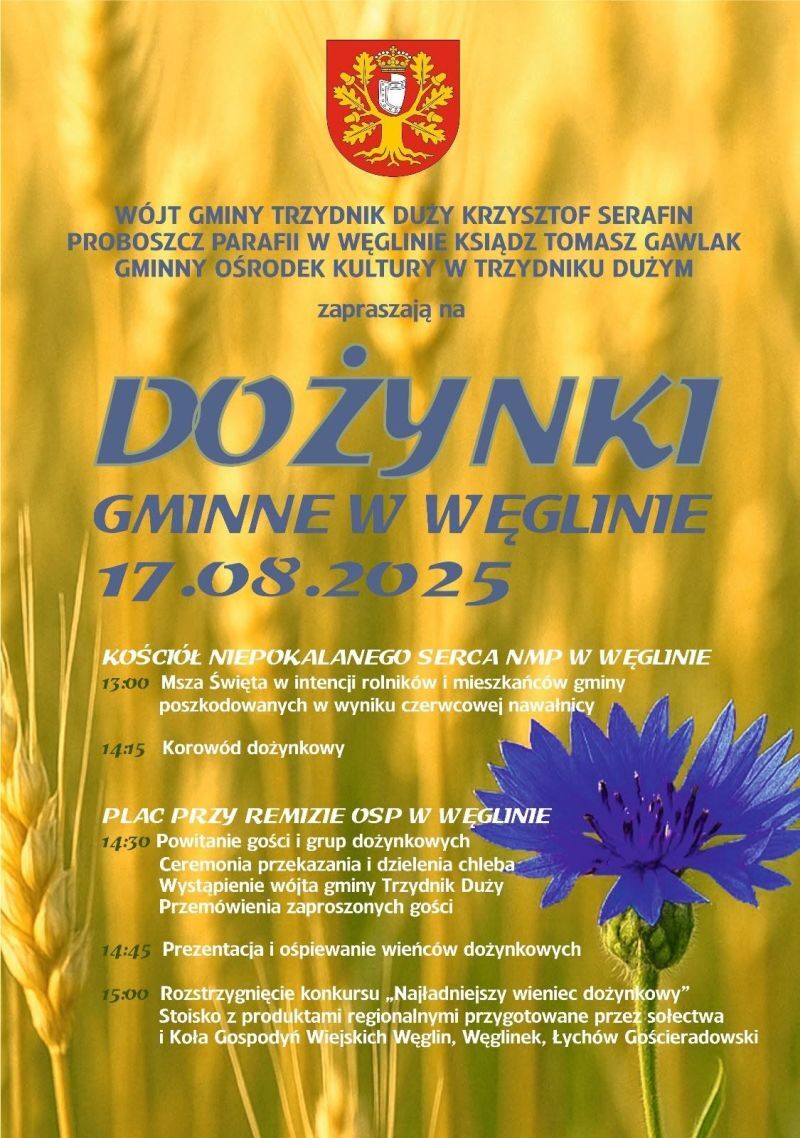 Plakat zapraszający na Dożynki Gminne w Węglinie 17.08.2025. W tle złote kłosy zbóż i chabry. Informacje o mszy, korowodzie i występach zespołów przy remizie OSP w Węglinie.