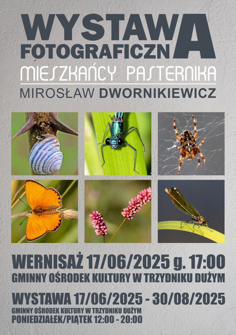 Plakat promujący wystawę fotograficzną "Mieszkańcy Pasternika" Mirosława Dwornikiewicza. Zdjęcia owadów, data wernisażu 17 czerwca 2025. Wystawa w Gminnym Ośrodku Kultury w Trzydniku Dużym.