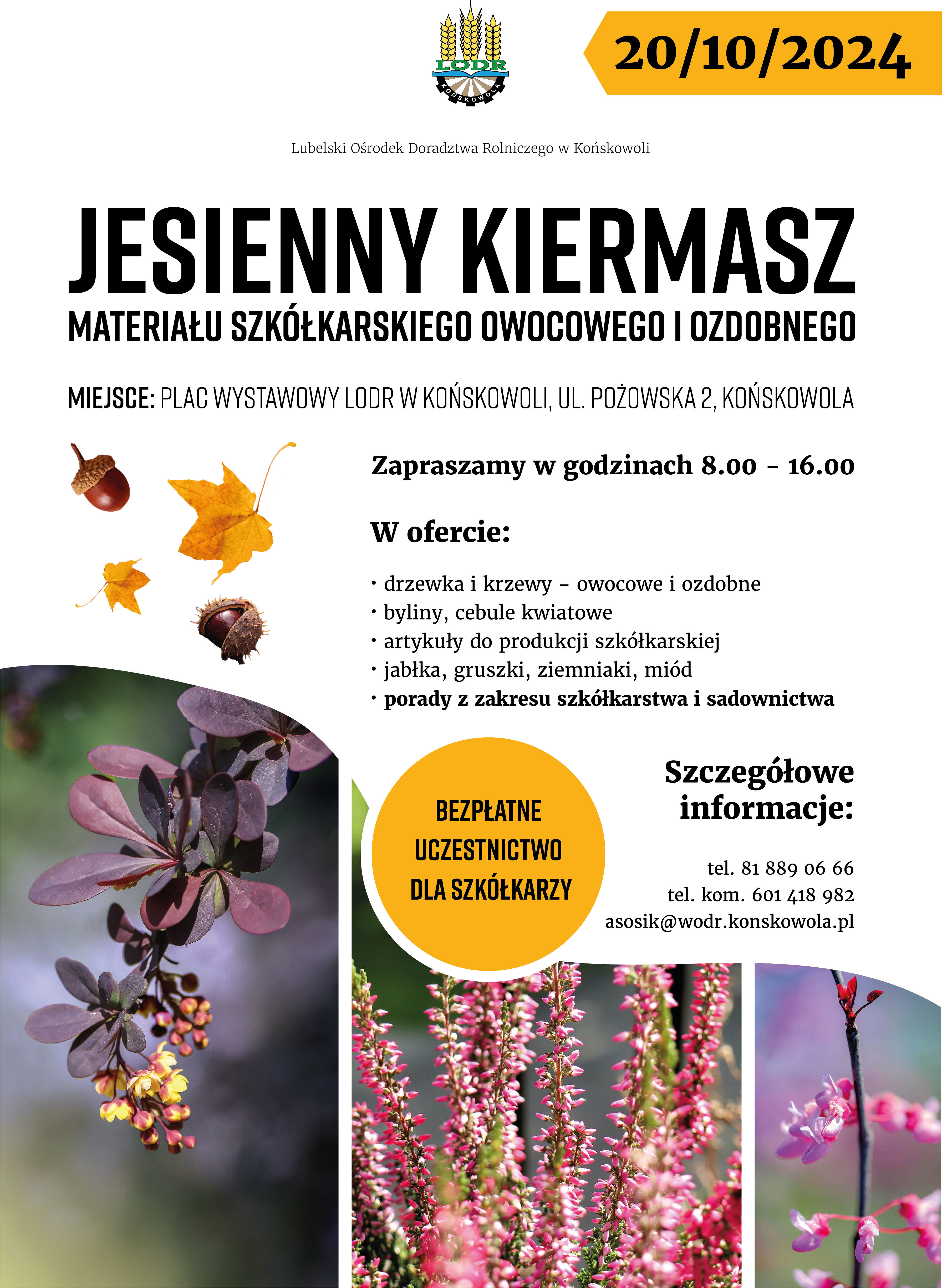 Zdjęcie przedstawia plakat informacyjny o warsztatach z okazji Dnia Ziemi. Zawiera datę, miejsce, listę atrakcji takich jak drzewka do adopcji, i kontakt. Tło ozdobione jest florystycznymi motywami.