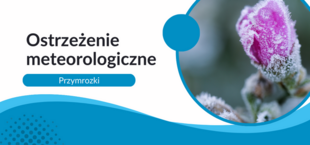 Zdjęcie przedstawia kwiat pokryty szronem z napisem "Ostrzeżenie meteorologiczne: Przymrozki" na tle w odcieniach niebieskiego z graficznymi elementami.
