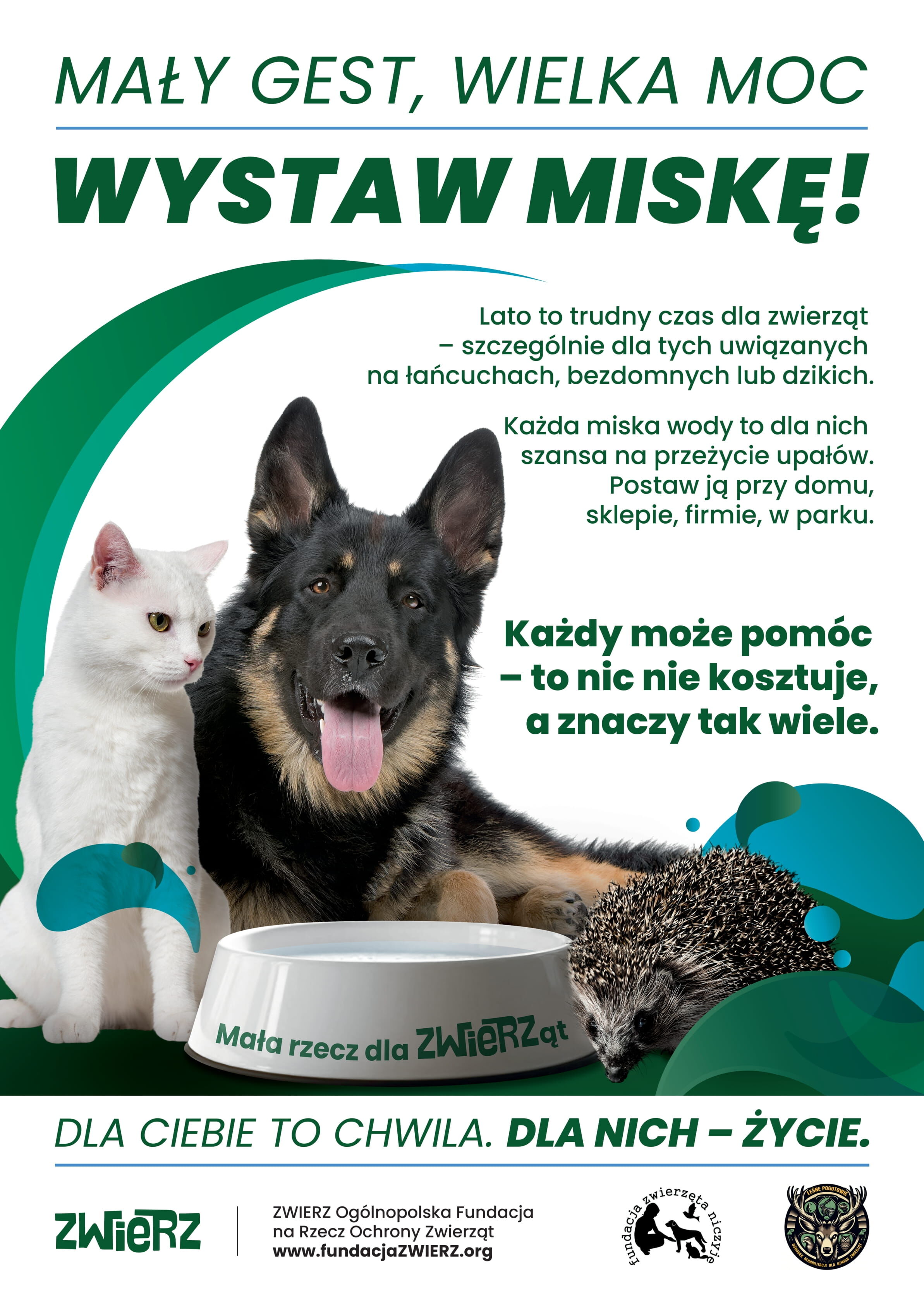 Dwa zwierzęta: biały kot i owczarek niemiecki, obok miski z wodą. W tle jeż. Nagłówek zachęca do wystawienia miski z wodą dla bezdomnych zwierząt. Na dole logo i informacje o fundacji ochrony zwierząt.