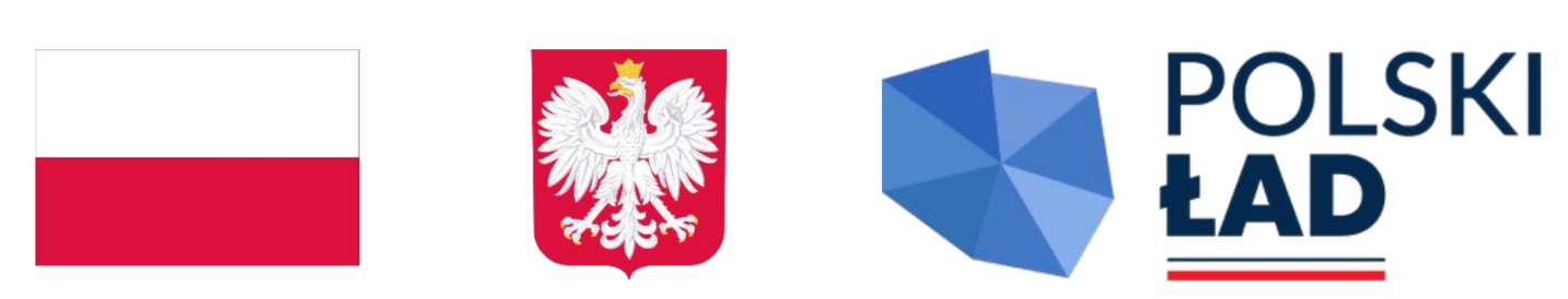 1. Flagę Polski z dwoma poziomymi pasami, górnym białym i dolnym czerwonym.2. Czerwony herb Polski z białym orłem w koronie na czerwonym tle.3. Logo Polskiego Ładu, niebieska kryształkowa forma z napisem "POLSKI ŁAD" i polskimi flagami.